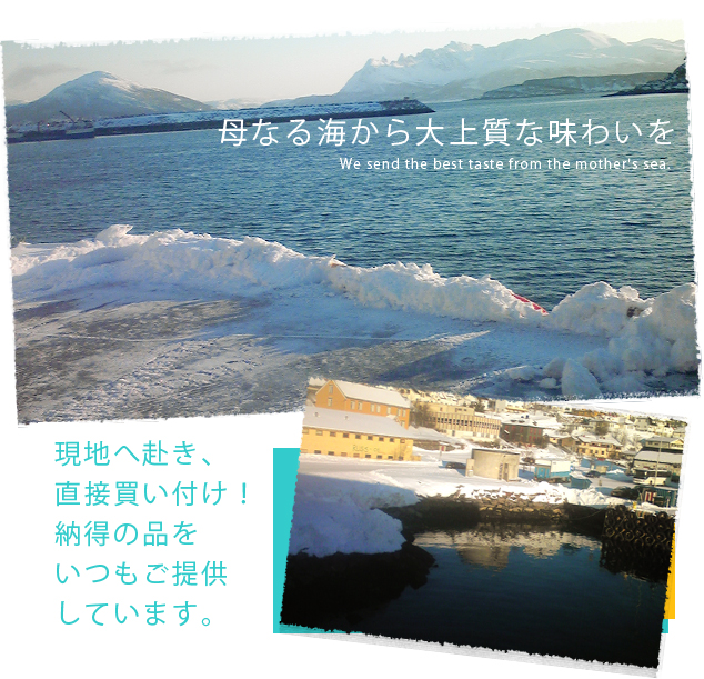 啶X